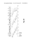 HETEROLOGOUS ANTIBODIES WHICH BIND HUMAN CD4 diagram and image