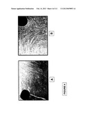 ISOLATION AND CULTIVATION OF STEM/PROGENITOR CELLS FROM THE AMNIOTIC     MEMBRANE OF UMBILICAL CORD AND USES OF CELLS DIFFERENTIATED THEREFROM diagram and image