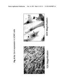 ISOLATION AND CULTIVATION OF STEM/PROGENITOR CELLS FROM THE AMNIOTIC     MEMBRANE OF UMBILICAL CORD AND USES OF CELLS DIFFERENTIATED THEREFROM diagram and image