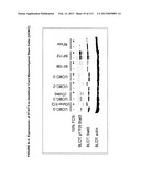 ISOLATION AND CULTIVATION OF STEM/PROGENITOR CELLS FROM THE AMNIOTIC     MEMBRANE OF UMBILICAL CORD AND USES OF CELLS DIFFERENTIATED THEREFROM diagram and image