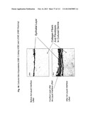 ISOLATION AND CULTIVATION OF STEM/PROGENITOR CELLS FROM THE AMNIOTIC     MEMBRANE OF UMBILICAL CORD AND USES OF CELLS DIFFERENTIATED THEREFROM diagram and image