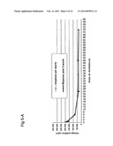 ROBO1-FC FUSION PROTEIN AND USE THEREOF FOR TREATING TUMOURS diagram and image