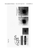 ROBO1-FC FUSION PROTEIN AND USE THEREOF FOR TREATING TUMOURS diagram and image