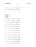 ROBO1-FC FUSION PROTEIN AND USE THEREOF FOR TREATING TUMOURS diagram and image