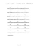 NOVEL HUMAN GENES RELATING TO RESPIRATORY DISEASES AND OBESITY diagram and image