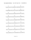 NOVEL HUMAN GENES RELATING TO RESPIRATORY DISEASES AND OBESITY diagram and image