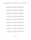 NOVEL HUMAN GENES RELATING TO RESPIRATORY DISEASES AND OBESITY diagram and image