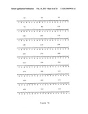 NOVEL HUMAN GENES RELATING TO RESPIRATORY DISEASES AND OBESITY diagram and image