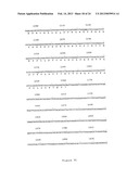 NOVEL HUMAN GENES RELATING TO RESPIRATORY DISEASES AND OBESITY diagram and image