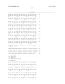 NOVEL HUMAN GENES RELATING TO RESPIRATORY DISEASES AND OBESITY diagram and image