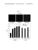 Pharmaceutical Composition Using Connective-tissue Growth Factor diagram and image