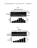 Pharmaceutical Composition Using Connective-tissue Growth Factor diagram and image