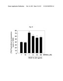 Pharmaceutical Composition Using Connective-tissue Growth Factor diagram and image