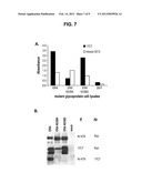 HUMAN ANTIBODIES AGAINST RABIES AND USES THEREOF diagram and image