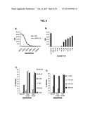 HUMAN ANTIBODIES AGAINST RABIES AND USES THEREOF diagram and image