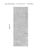 COMPOSITIONS FOR REDUCTION OF SIDE EFFECTS diagram and image