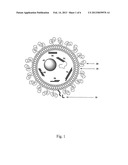 Processes and Compositions for Liposomal and Efficient Delivery of Gene     Silencing Therapeutics diagram and image