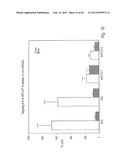 COMPOSITIONS AND METHODS OF USE OF TARGETING PEPTIDES AGAINST PLACENTA AND     ADIPOSE TISSUES diagram and image