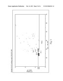 FIBROUS STRUCTURES diagram and image