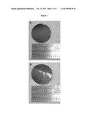 METHOD OF MAKING COHESIVE CARBON ASSEMBLY AND ITS APPLICATIONS diagram and image