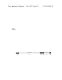 Saliva Polymerase Chain Reaction Assay for  Cytomegalovirus Infection diagram and image