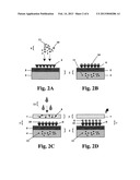 Rapid Diagnostic Device, Assay and Multifunctional Buffer diagram and image