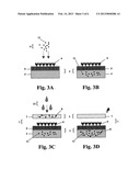 Rapid Diagnostic Device, Assay and Multifunctional Buffer diagram and image