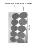 Biological Specimen Collection and Transport System and Method of Use diagram and image