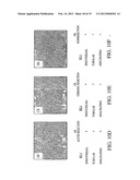 Methods of Evaluating Transplant Rejection diagram and image