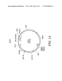 Compositions and Methods for Engineering Cells diagram and image