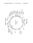 Compositions and Methods for Engineering Cells diagram and image