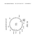 Compositions and Methods for Engineering Cells diagram and image