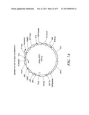 Compositions and Methods for Engineering Cells diagram and image