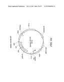 Compositions and Methods for Engineering Cells diagram and image