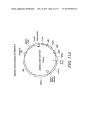 Compositions and Methods for Engineering Cells diagram and image