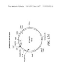 Compositions and Methods for Engineering Cells diagram and image