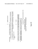 Methods for Detection of Methyl-CpG Dinucleotides diagram and image