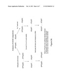 Methods for Detection of Methyl-CpG Dinucleotides diagram and image