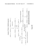 Methods for Detection of Methyl-CpG Dinucleotides diagram and image