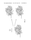 LABELED ENZYME COMPOSITIONS, METHODS AND SYSTEMS diagram and image