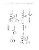 LABELED ENZYME COMPOSITIONS, METHODS AND SYSTEMS diagram and image