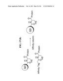 LABELED ENZYME COMPOSITIONS, METHODS AND SYSTEMS diagram and image