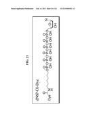 LABELED ENZYME COMPOSITIONS, METHODS AND SYSTEMS diagram and image