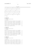 PROTEIN HAVING SWEETNESS diagram and image