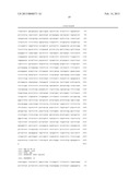 PROTEIN HAVING SWEETNESS diagram and image