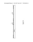 Method of Multi-Chip Wafer Level Packaging diagram and image