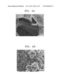 STRETCHABLE CONDUCTIVE NANOFIBERS, STRETCHABLE ELECTRODE USING THE SAME     AND METHOD OF PRODUCING THE STRETCHABLE CONDUCTIVE NANOFIBERS diagram and image