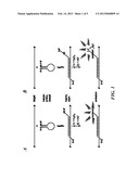 SPECTRALLY-RESOLVED CHEMILUMINESCENT PROBES FOR SENSITIVE MULTIPLEX     MOLECULAR QUANTIFICATION diagram and image