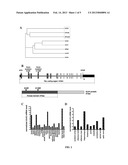 INHIBITION OR ACTIVATION OF SERINE/THREONINE ULK3 KINASE ACTIVITY diagram and image