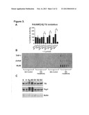 METHOD OF TREATING ACUTE MYELOGENOUS LEUKEMIA diagram and image